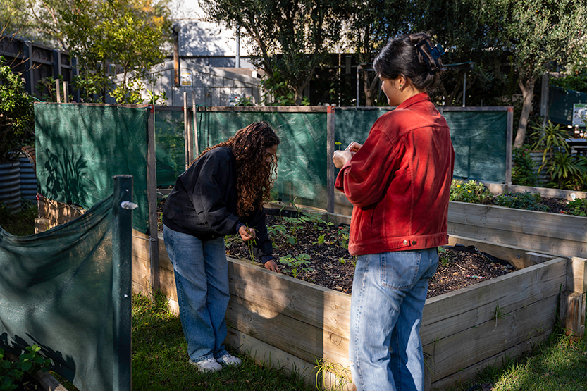 Volunteers sought to keep Docklands garden growing