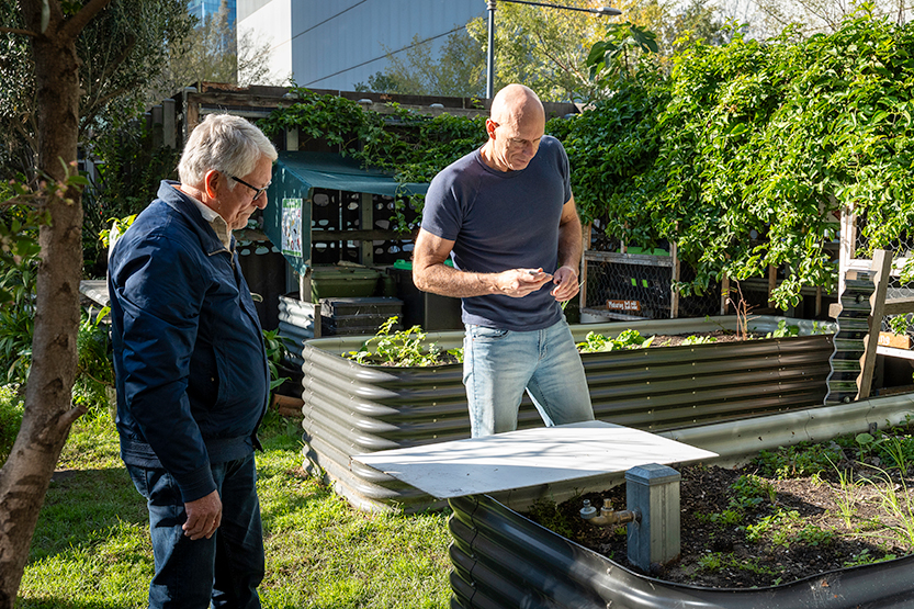 Volunteers sought to keep Docklands garden growing