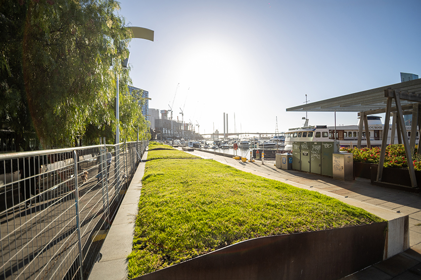 Docklands’ low canopy in focus as council considers urban forest plan