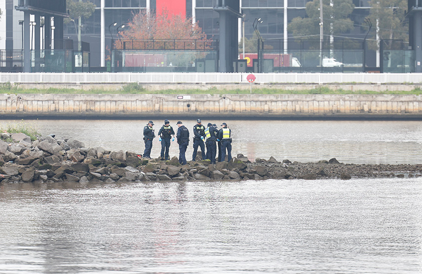 Pam the Bird suspect arrested after Bolte Bridge standoff