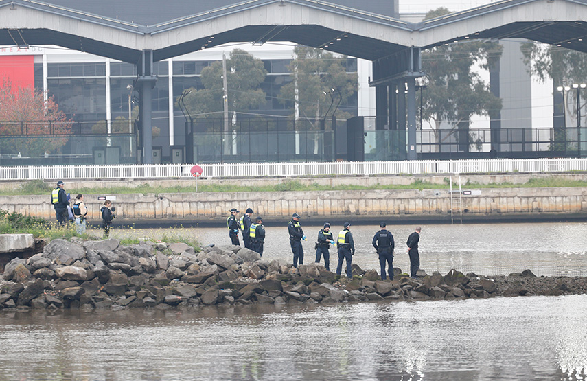 Pam the Bird suspect arrested after Bolte Bridge standoff