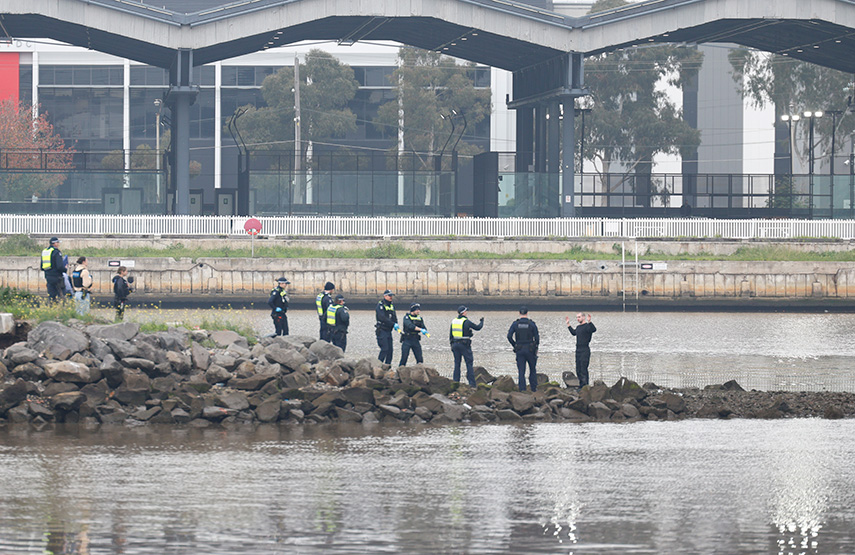 Pam the Bird suspect arrested after Bolte Bridge standoff