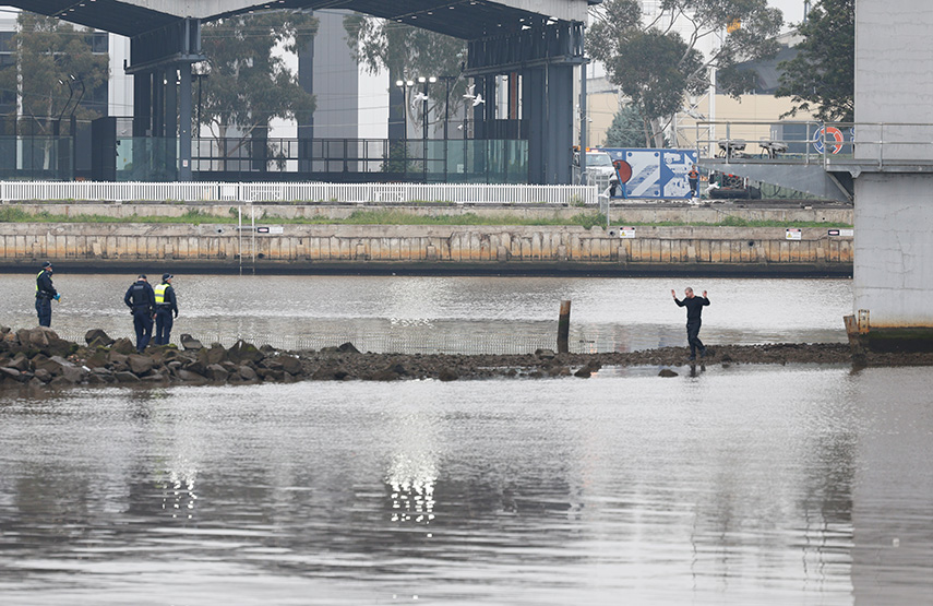 Pam the Bird suspect arrested after Bolte Bridge standoff
