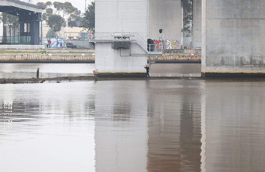 Pam the Bird suspect arrested after Bolte Bridge standoff