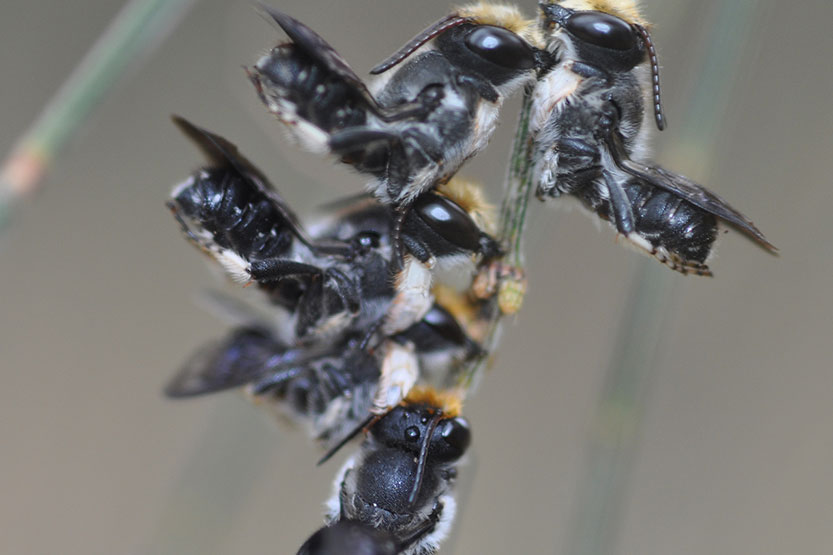 A fly on the wall