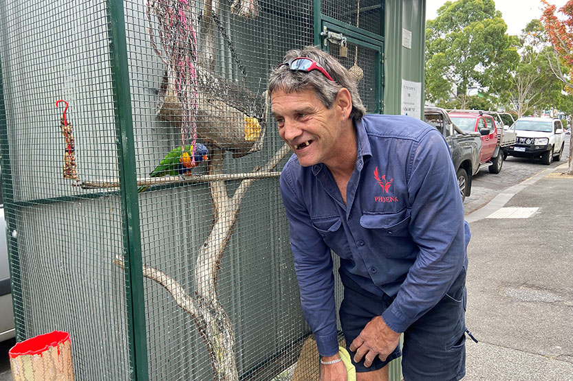Friendly parrot may be banned outdoors after ruffling the council’s feathers