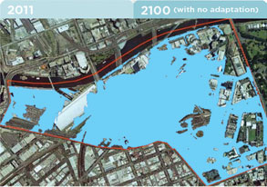 Council to act on flooding reports