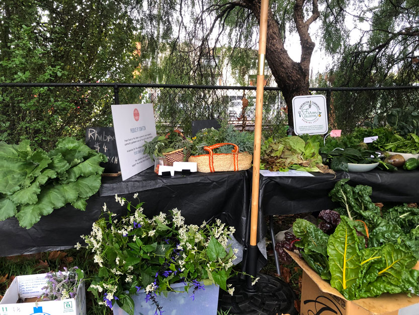 The Kensington Farm Collective