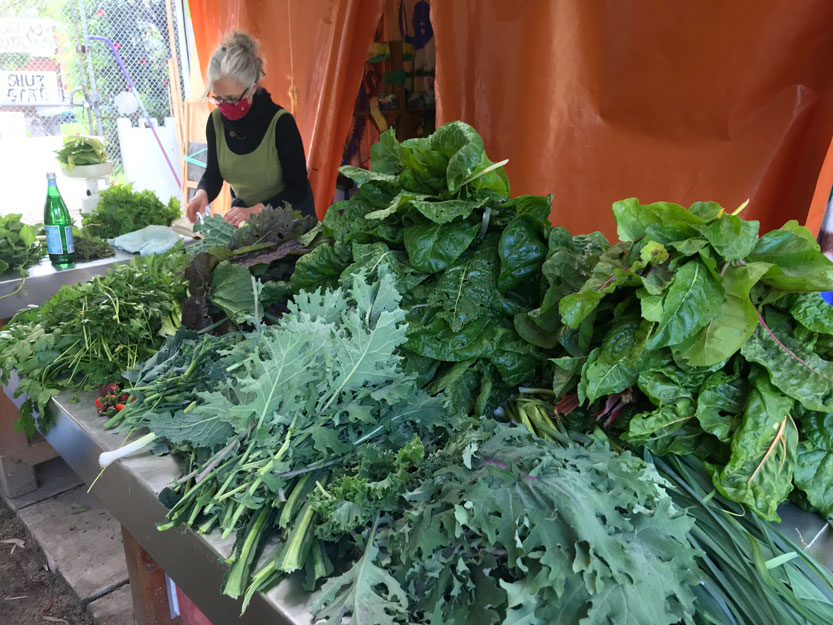The Kensington Farm Collective