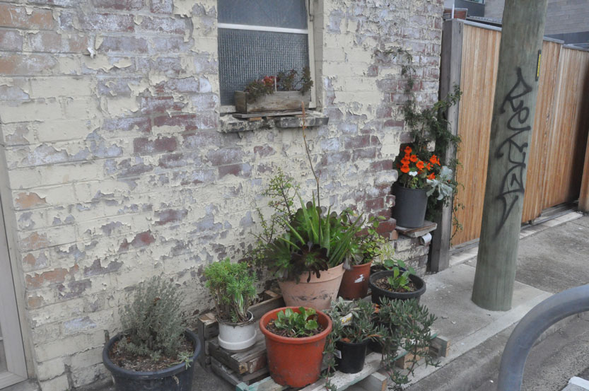 Tips from a garden bomber