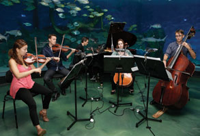 Spectacular Secret Symphony