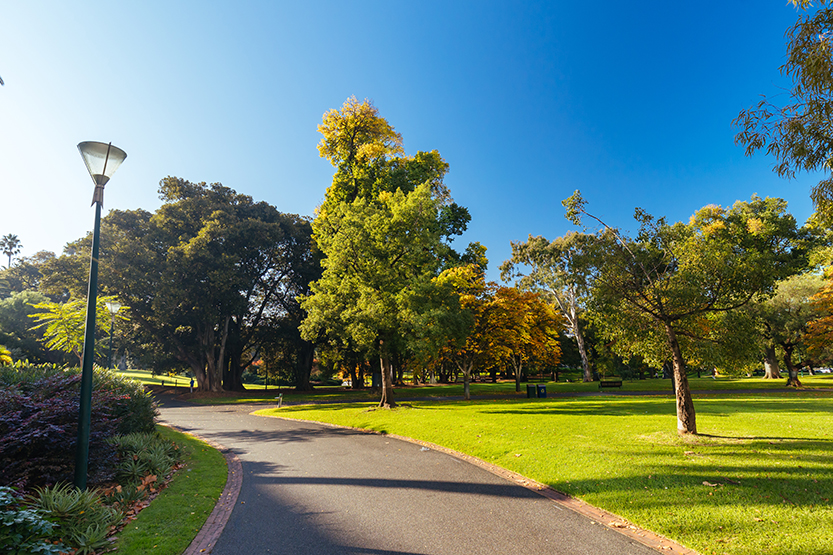 Looking ahead in East Melbourne