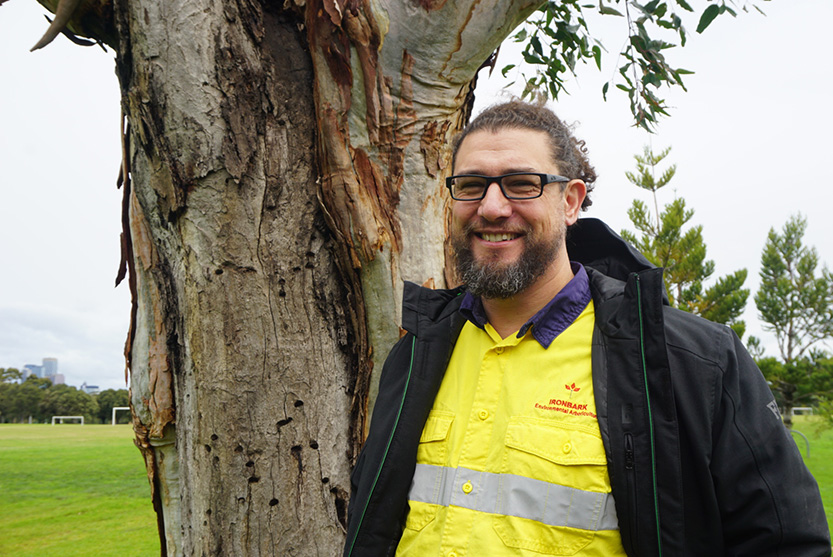 Carved hollows create new homes for wildlife in the urban forests