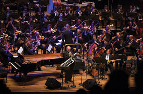Morrison and MSO