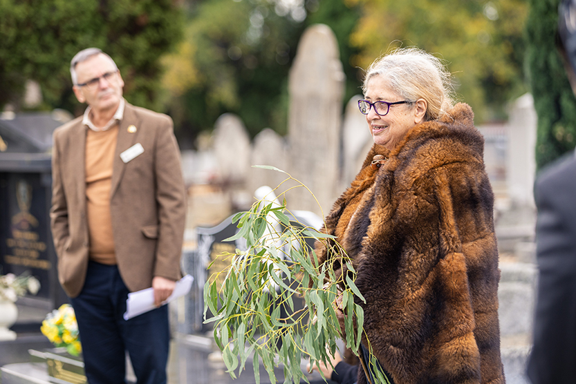 Cemetery greening under way
