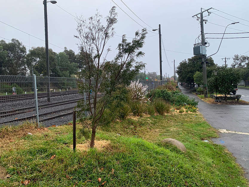 Regenerate nature – a hopeful path forward