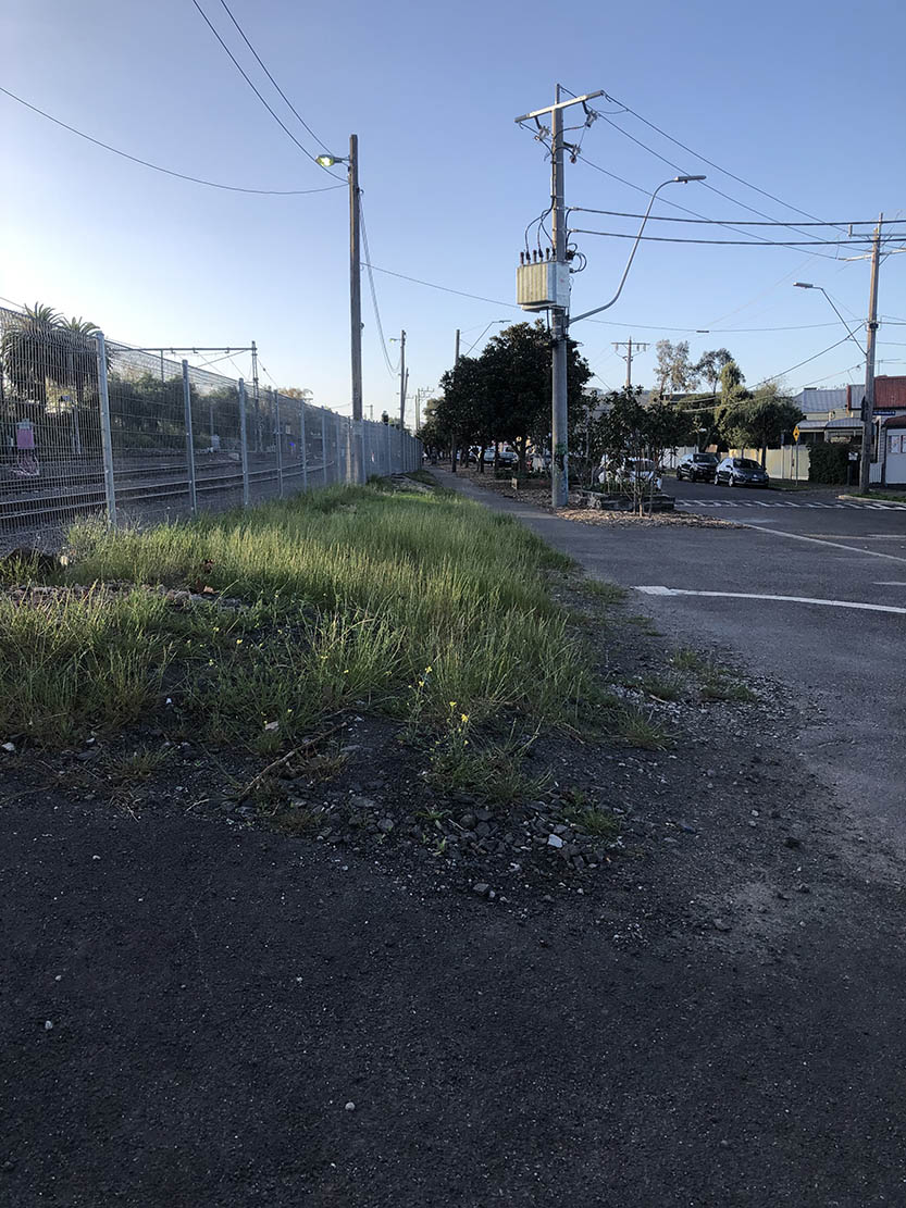 Regenerate nature – a hopeful path forward