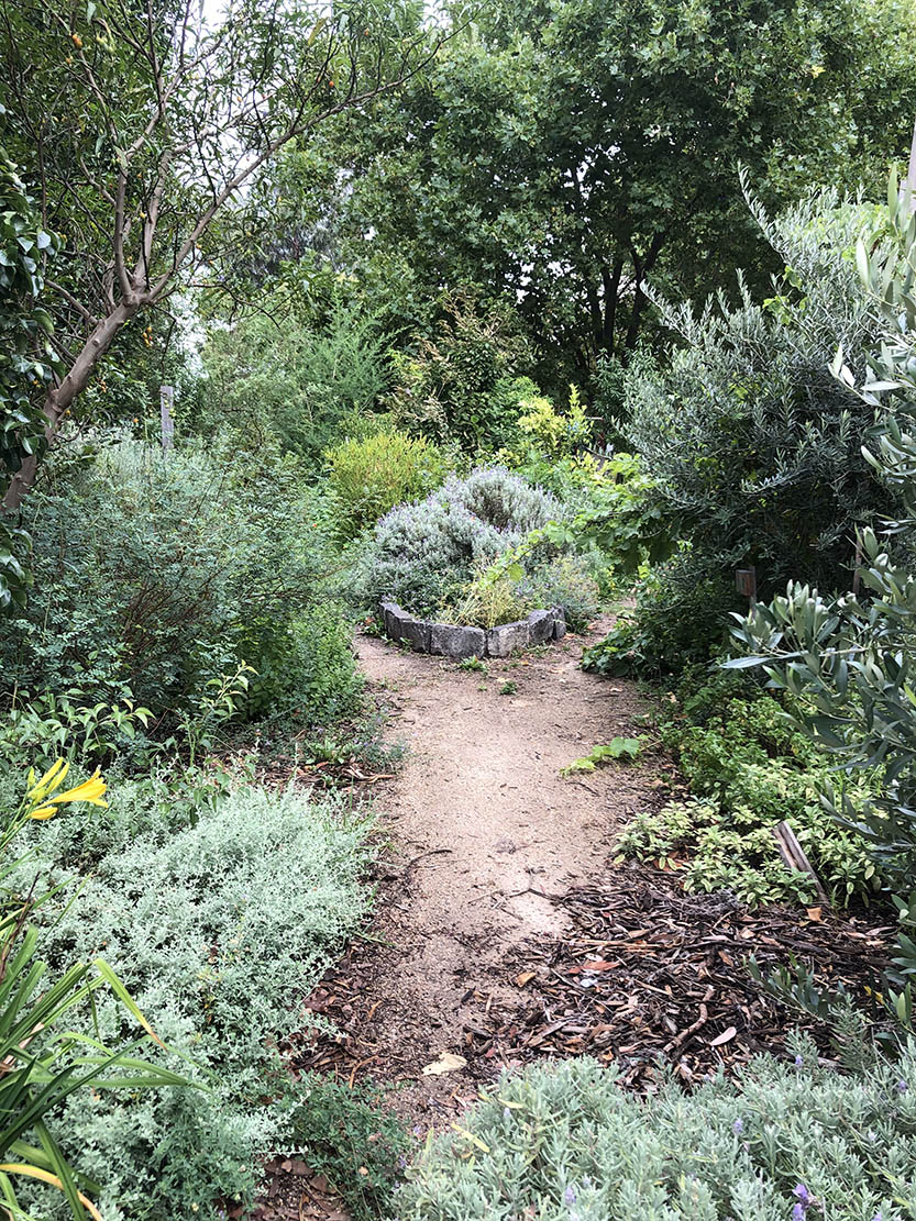 Regenerate nature – a hopeful path forward