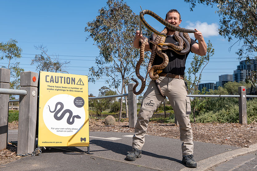 Snakes sighted at Maribyrnong River, residents urged to be vigilant