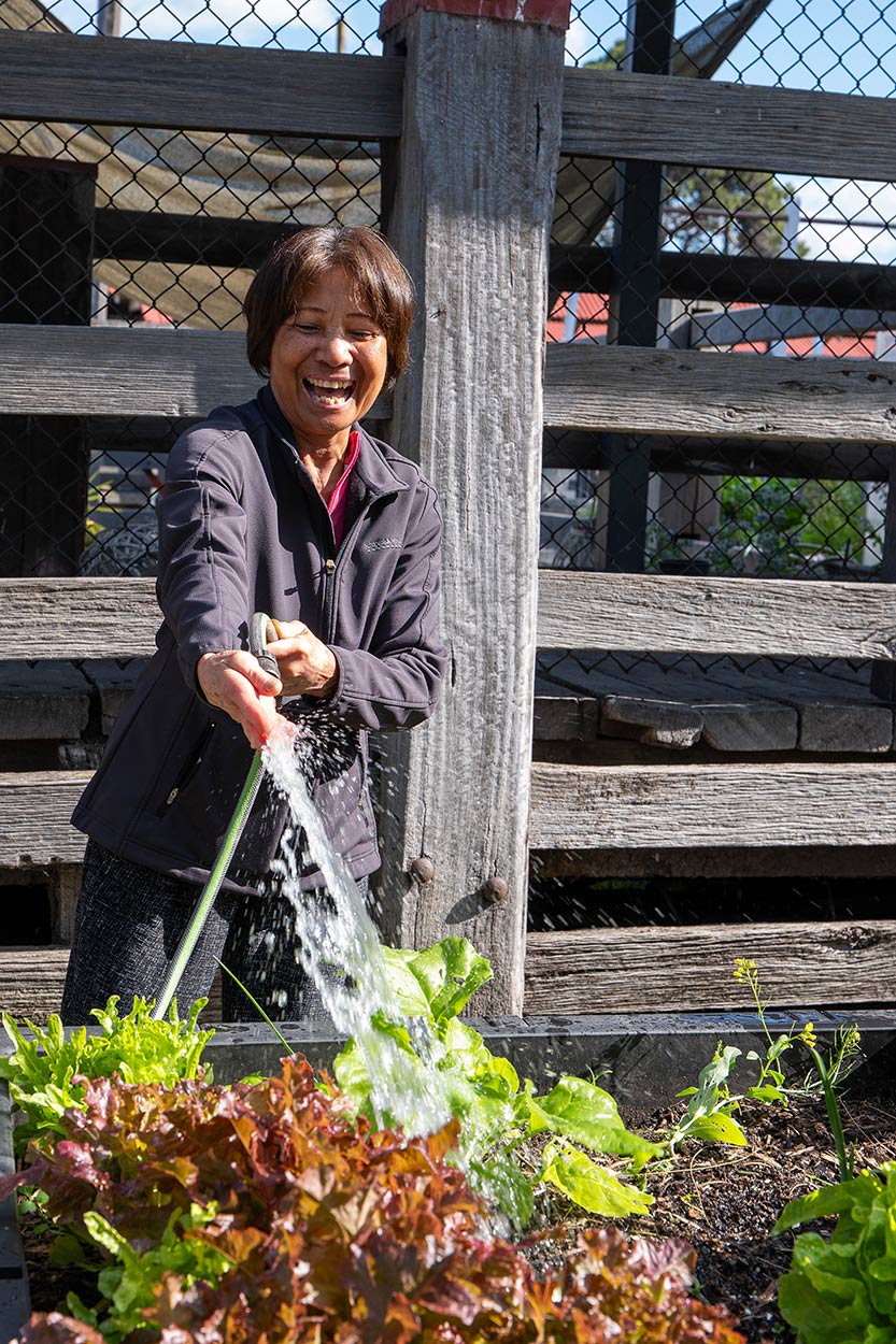 Kensington Stockyard Food Garden sprouting fun and fungi with Mush Fest