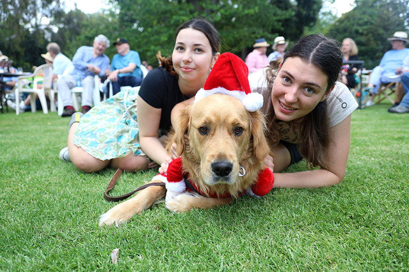 Festive picnic brings East Melbourne community together