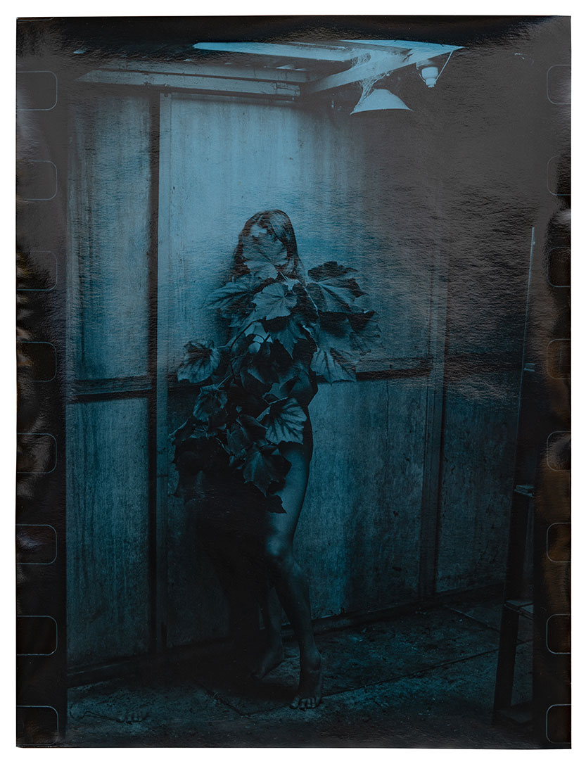 Blue Period exhibition celebrates women at One Star