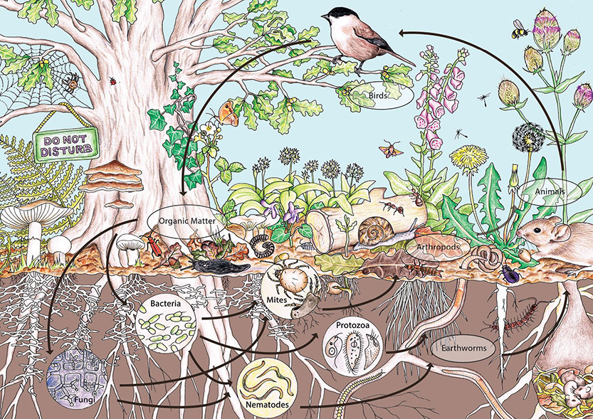 Permaculture: one of Australia’s noblest exports
