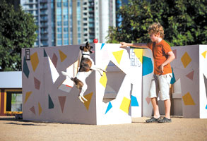 ACCA playground a doggy delight