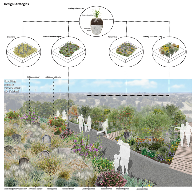 Reviving history: student’s transformative designs for Melbourne General Cemetery