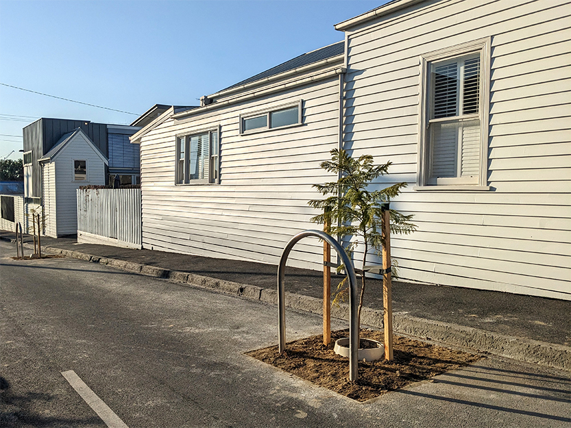 Tree planting begins in Kensington