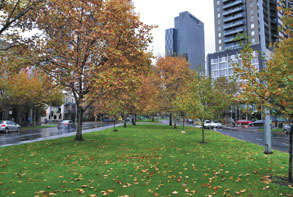 A new linear park for Southbank