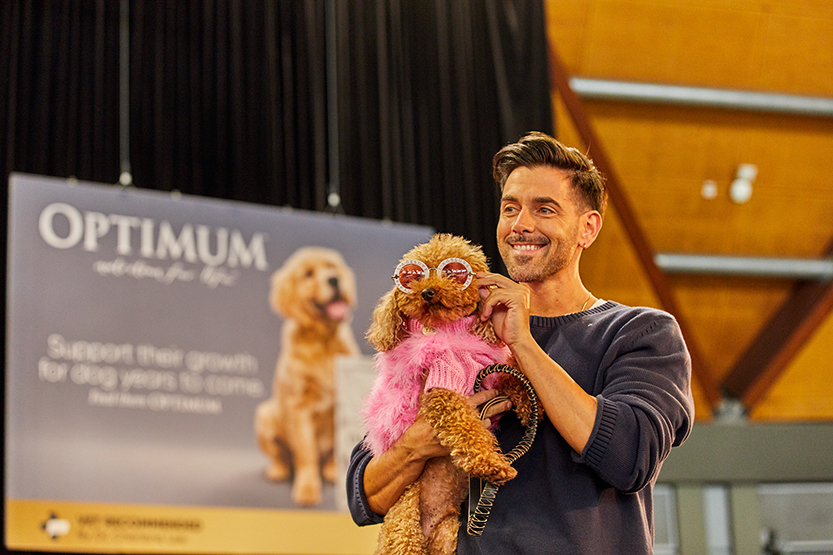 Melbourne Dog Lovers Festival 10th birthday paw-ty 