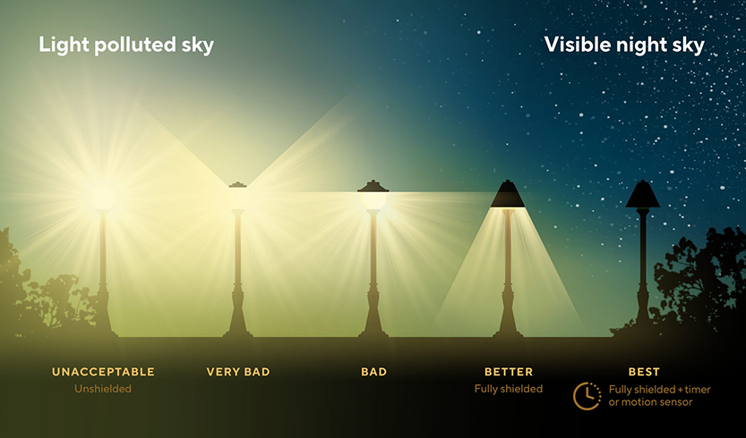Our loss of the night sky