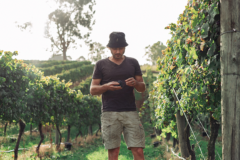 How Rouleur Wine Co found a community of wine lovers in North Melbourne