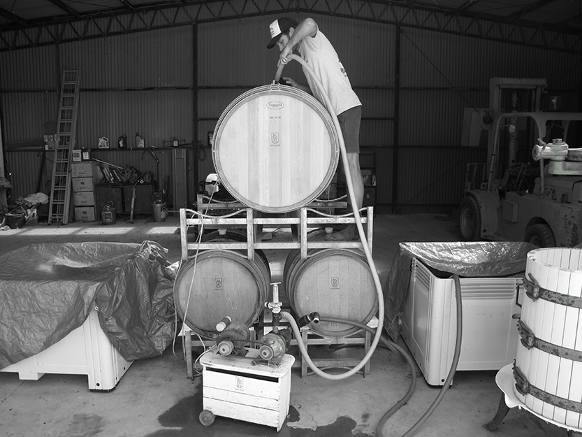 How Rouleur Wine Co found a community of wine lovers in North Melbourne