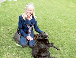 Pets Corner