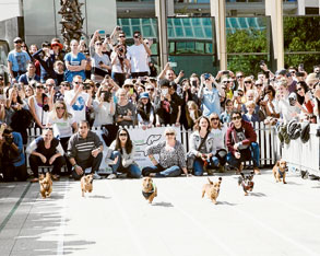 Wieners race goes worldwide
