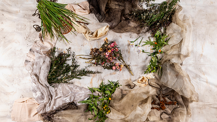 Aboriginal women’s stories and resistance at Arts House