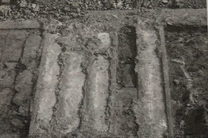 Digging up the past