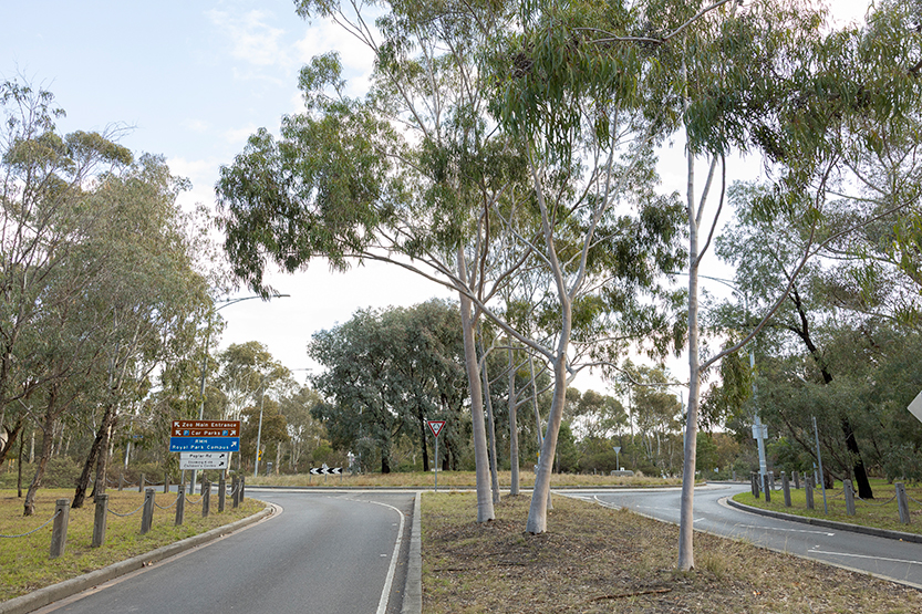 City of Melbourne progresses with a review of the Royal Park Master Plan