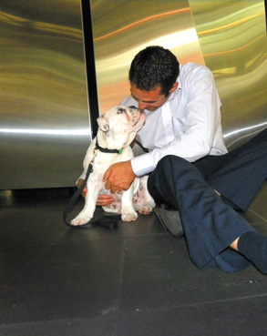 Arnie – Docklands resident and company mascot