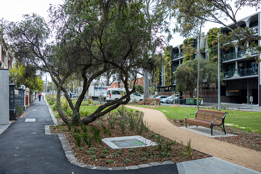 New “green oasis” blooms on Roden St