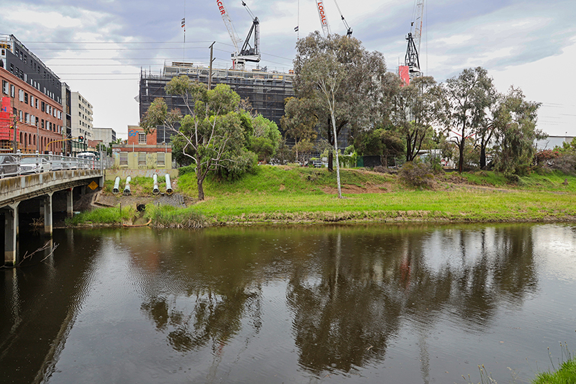 Council’s development windfall reignites calls to secure Macaulay “drainage land” for open space