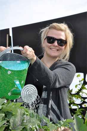 June 4 is market day