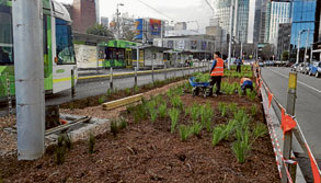 Works start at Whiteman St