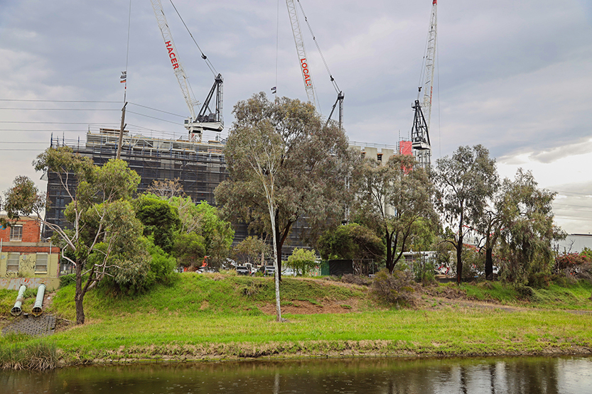 The Macaulay “complexatron”: council’s latest push for more open space along Moonee Ponds Creek