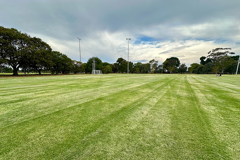 Crawford Oval upgrade completed at Princes Park