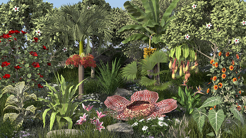 Potter Museum of Art unveils major new exhibition exploring the intelligence of the natural world