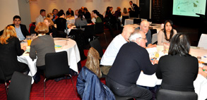 Second decade  consultations