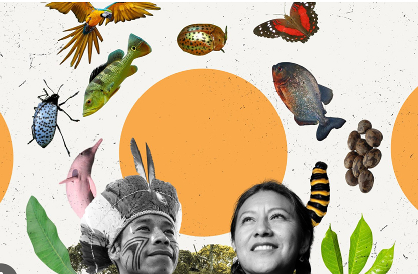 Are Indigenous decision-making processes required for new technological advances?